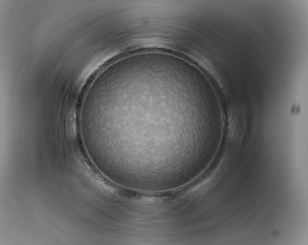 X0000114110782200910051512