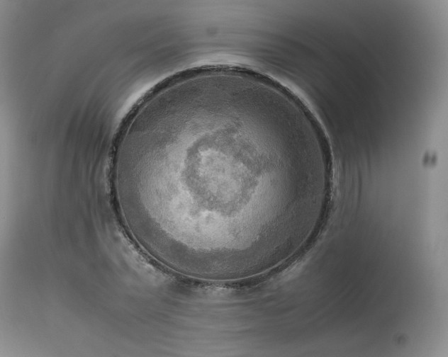 X0000114110783200910051512