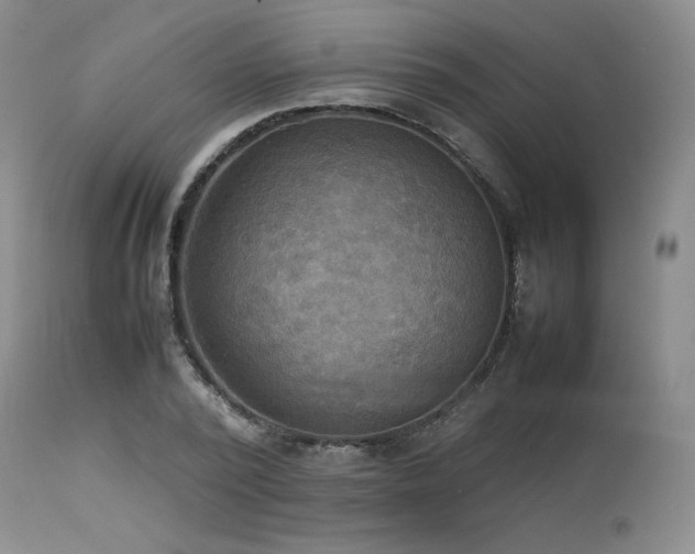 X0000114110784200910051512