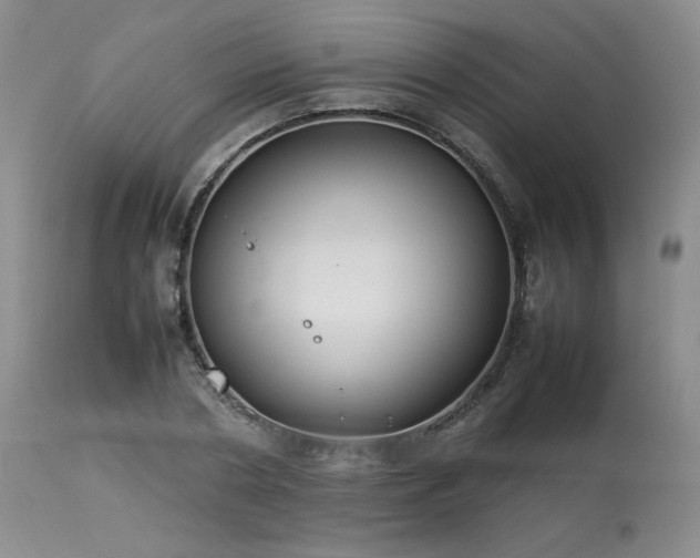 X0000114110786200910051512