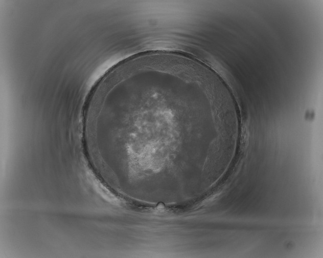 X0000114110787200910051512