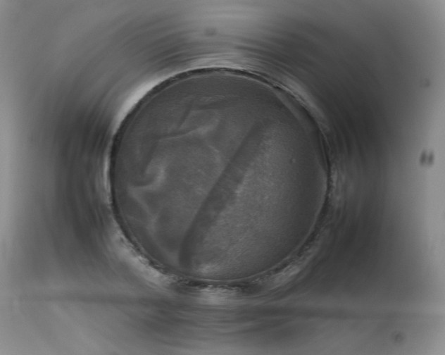 X0000114110788200910051512
