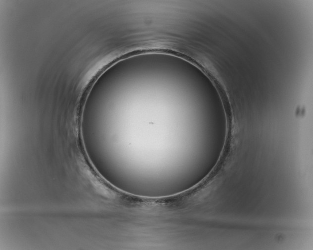 X0000114110789200910051512
