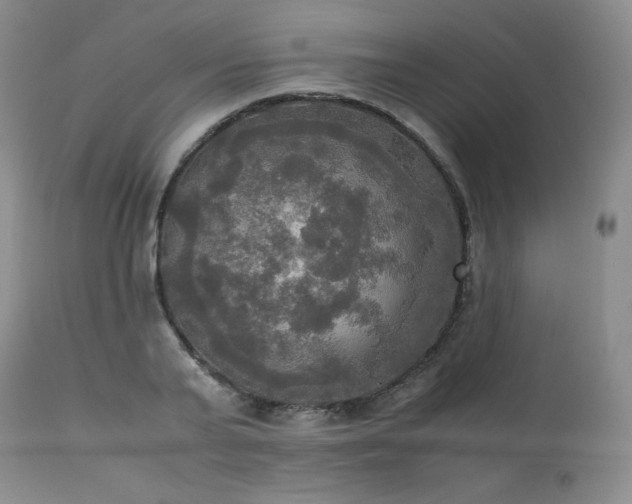 X0000114110791200910051512