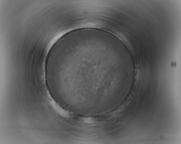 X0000114110792200910051512