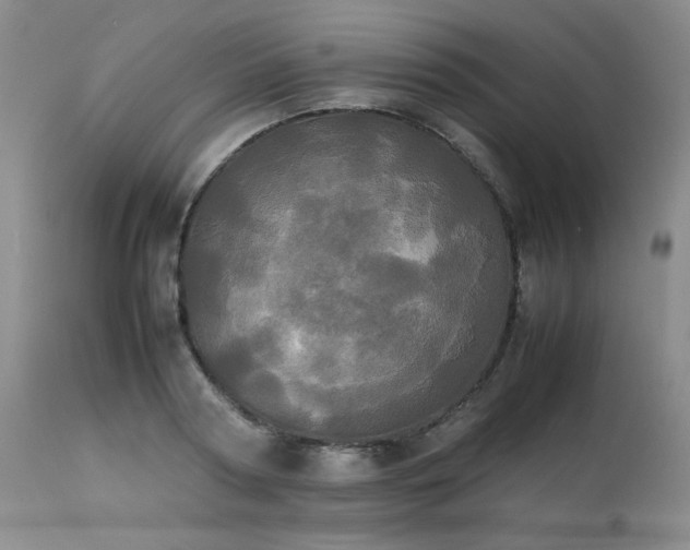 X0000114110794200910051512
