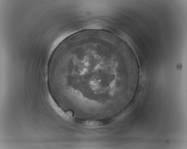 X0000114110795200910051512