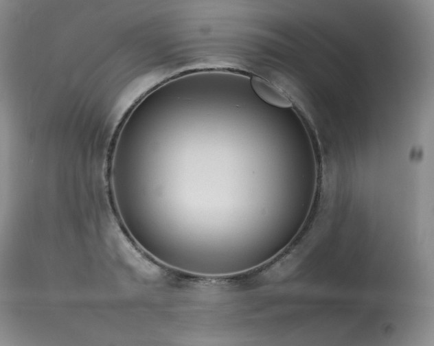 X0000114110797200910051512