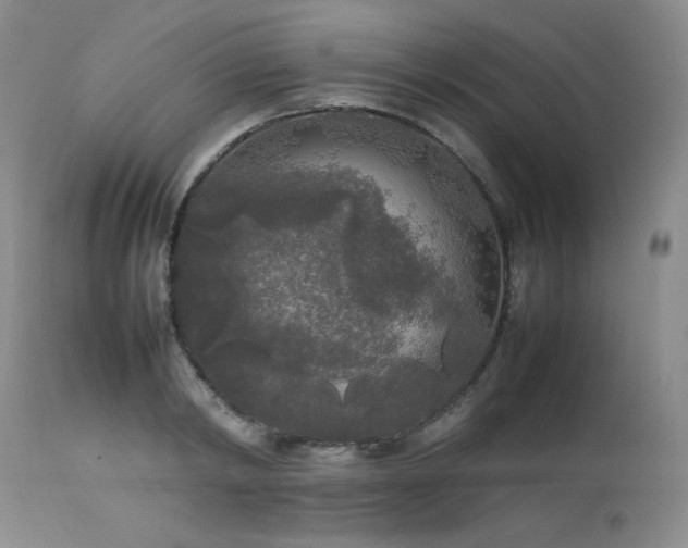 X0000114110798200910051512