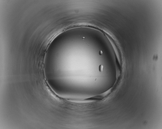 X0000114110801200910051512
