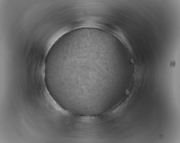 X0000114110804200910051512