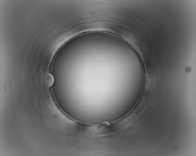 X0000114110805200910051512