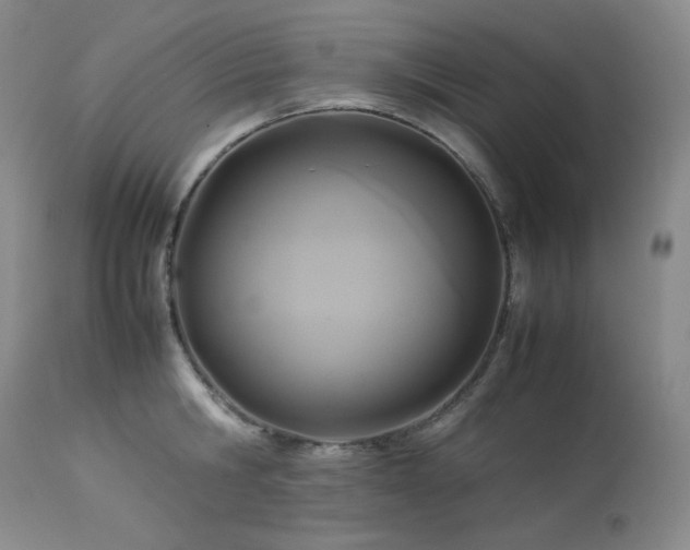 X0000114110806200910051512