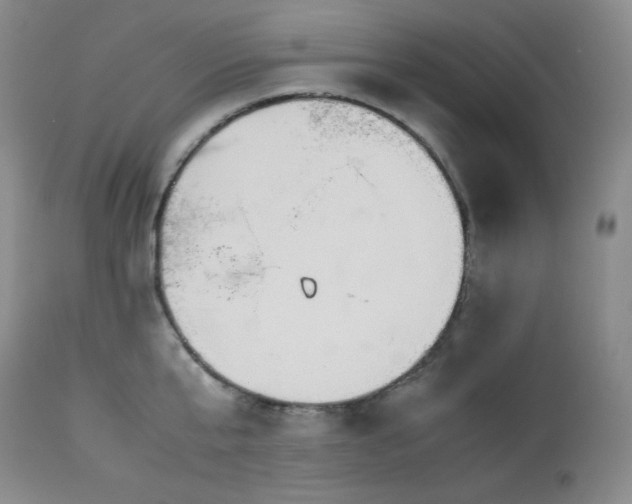 X0000114110807200910051512