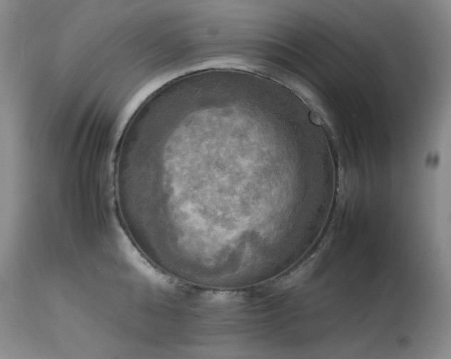X0000114110808200910051512