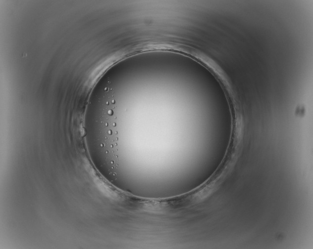 X0000114110809200910051512