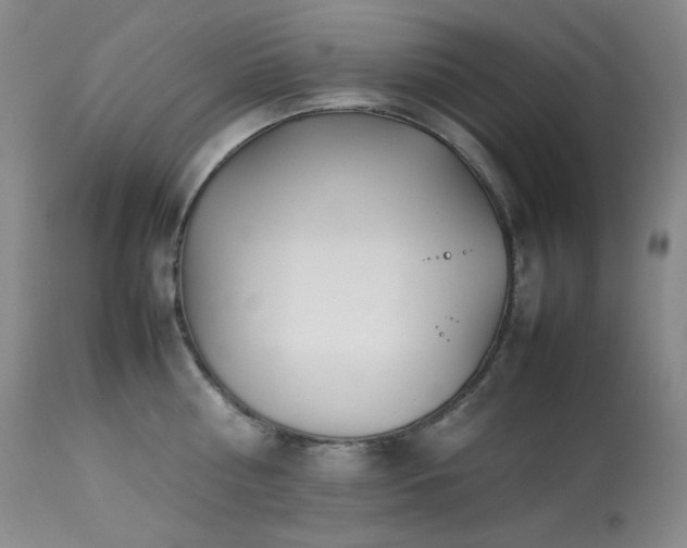 X0000114110810200910051512