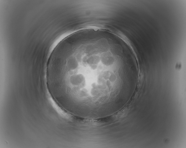 X0000114110811200910051512