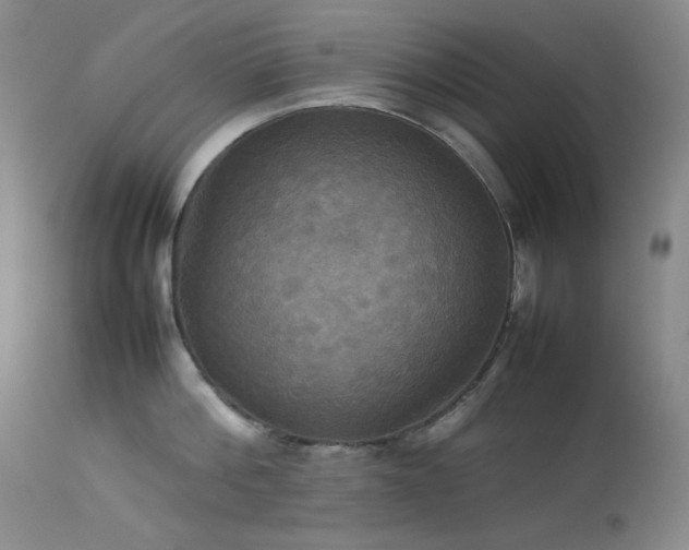 X0000114110812200910051512