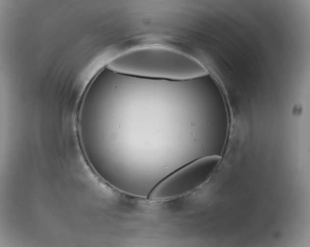 X0000114110813200910051512