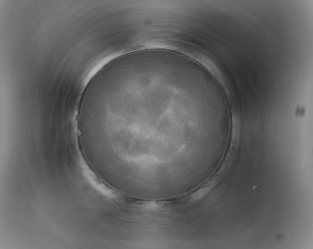 X0000114110814200910051512