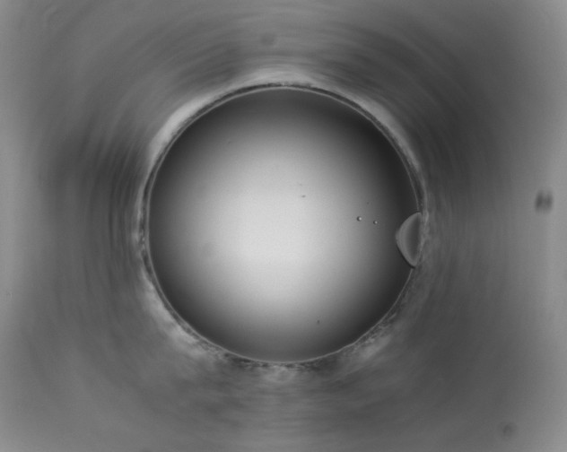 X0000114110815200910051512