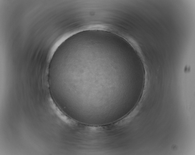 X0000114110816200910051512