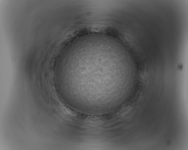 X0000114110817200910051511