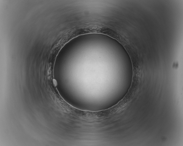 X0000114110818200910051511