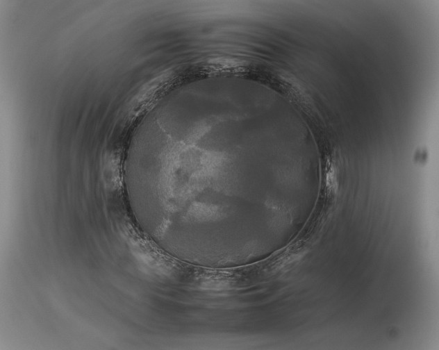 X0000114110819200910051511