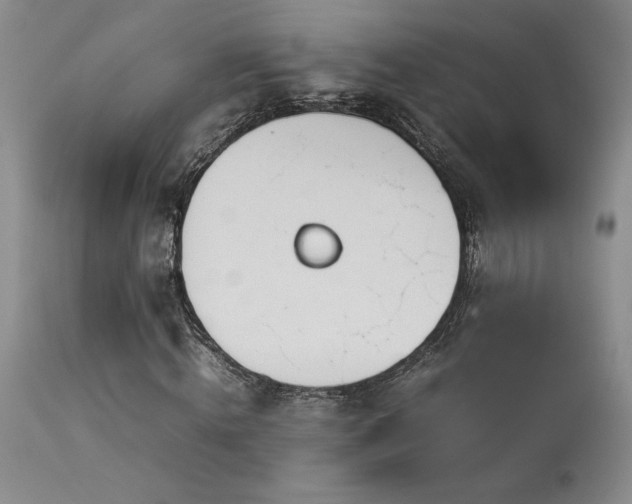 X0000114110820200910051511