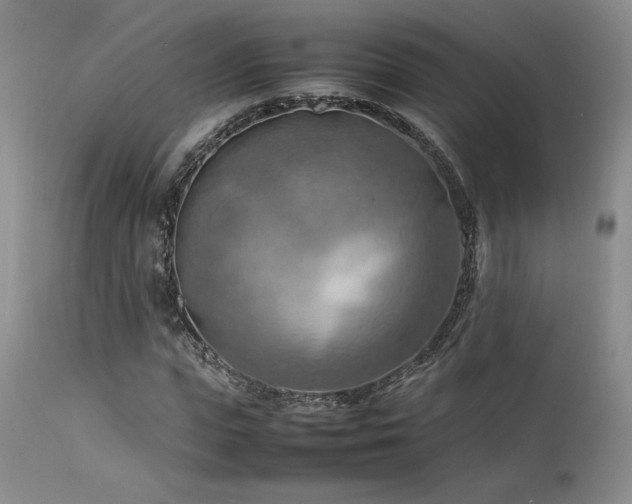 X0000114110823200910051511