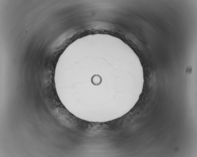 X0000114110824200910051511