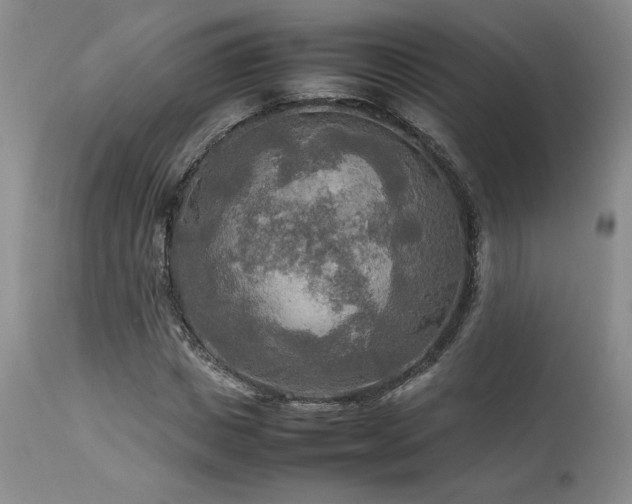 X0000114110825200910051511
