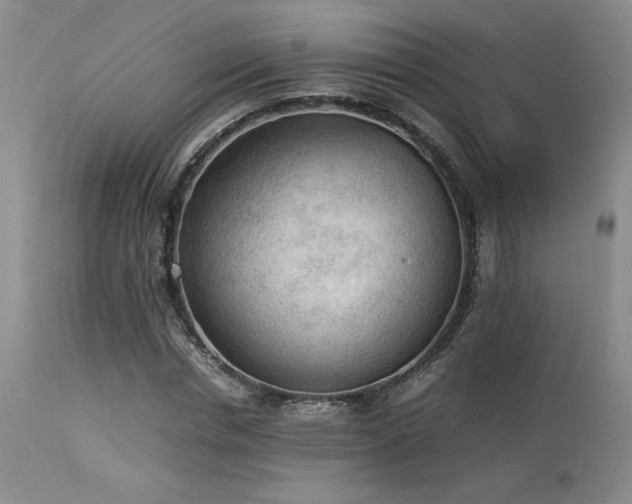 X0000114110826200910051511