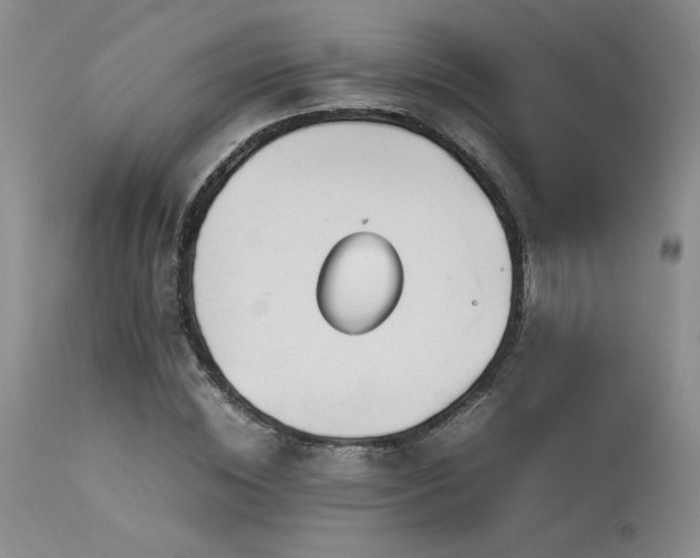 X0000114110828200910051511