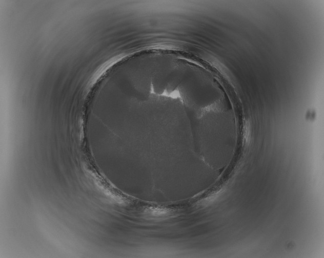 X0000114110829200910051511