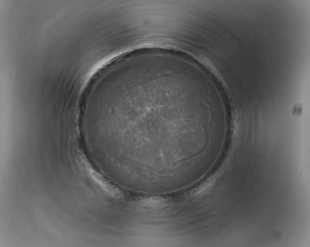 X0000114110830200910051511
