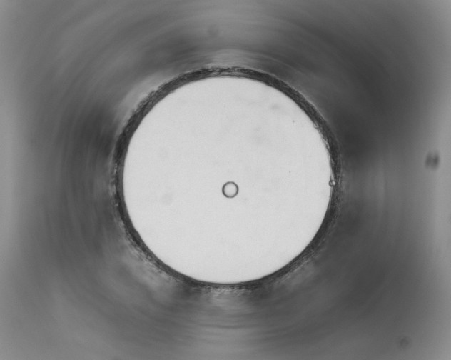 X0000114110832200910051511