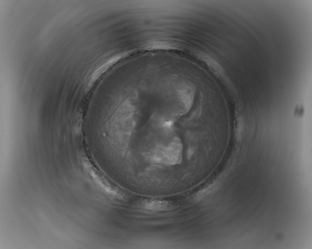 X0000114110833200910051511