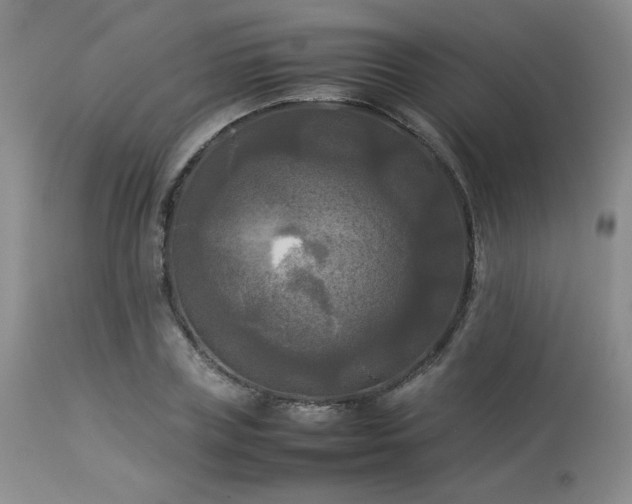 X0000114110835200910051511