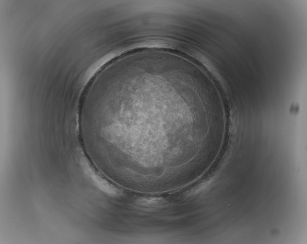 X0000114110837200910051511