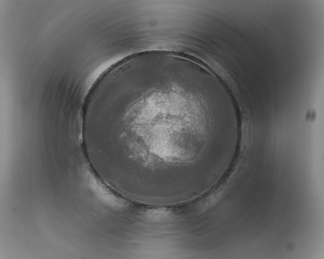 X0000114110838200910051511