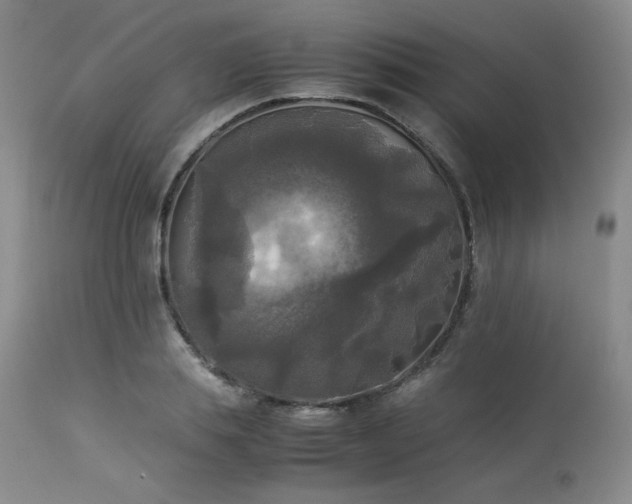 X0000114110839200910051511