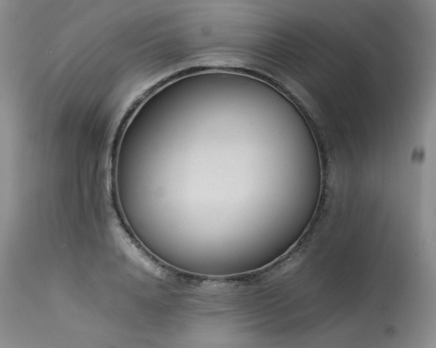 X0000114110840200910051511