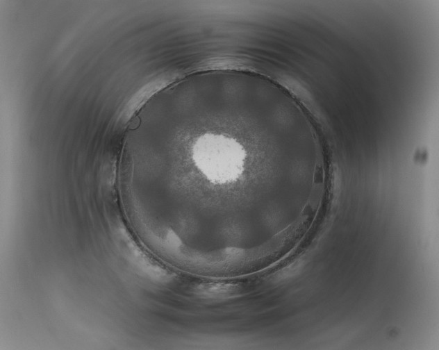 X0000114110841200910051511
