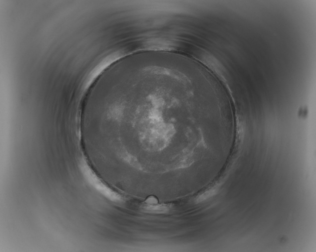 X0000114110843200910051511