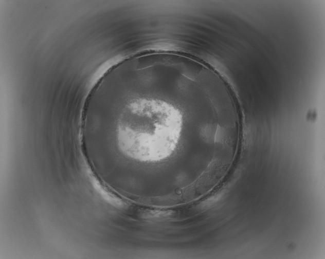 X0000114110845200910051511