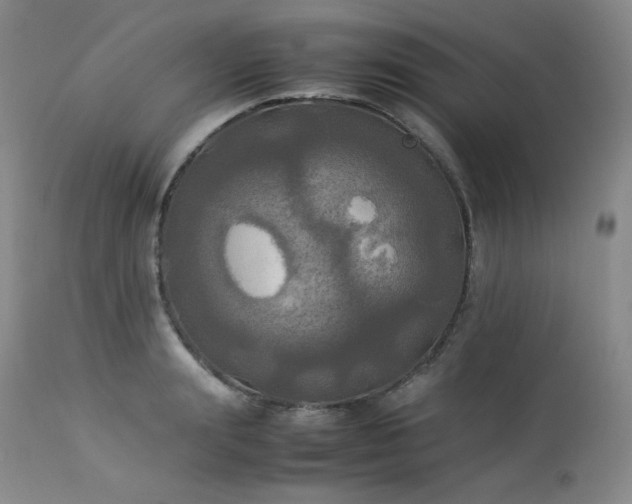 X0000114110847200910051511