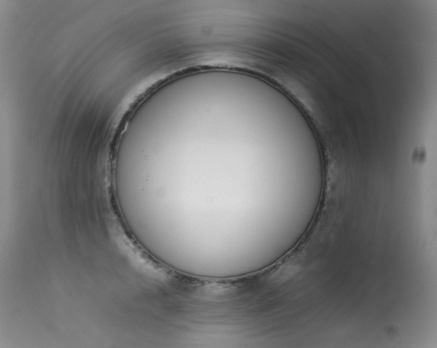 X0000114110848200910051511
